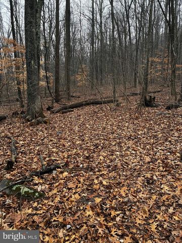 2800 KAETZEL RD, Knoxville, MD 21758