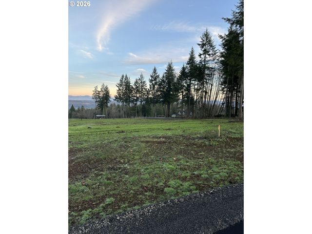 204 Suncrest Dr 4, Castle Rock, WA 98611
