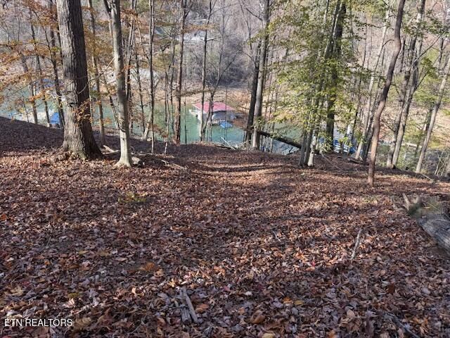 Deer Run Place, Lafollette, TN 37766