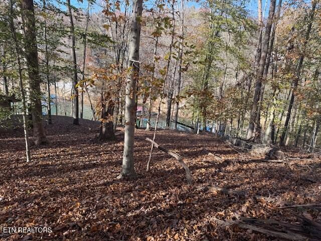 Deer Run Place, Lafollette, TN 37766