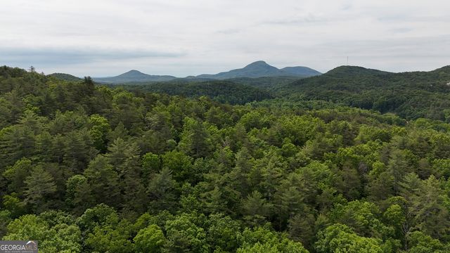 192 Wilderland Trail, Helen, GA 30545