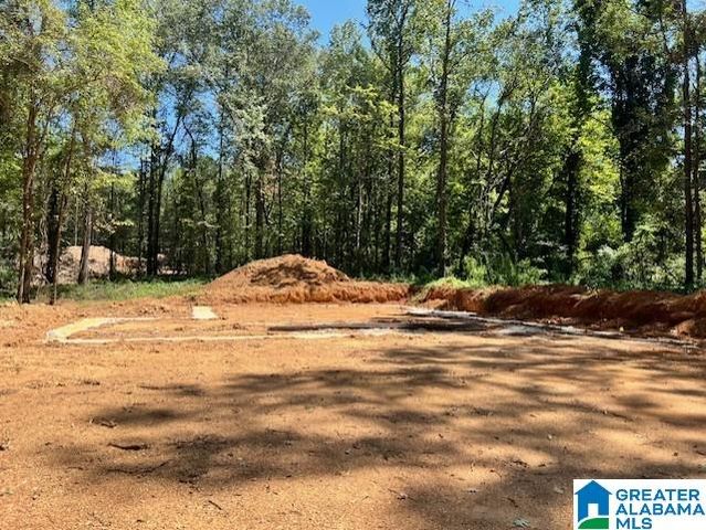 659 HIGHWAY 86, Calera, AL 35040