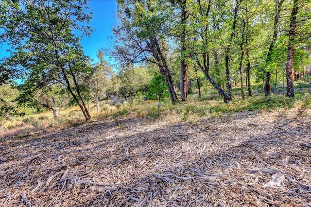 18955 Lake City Rd, Nevada City, CA 95959