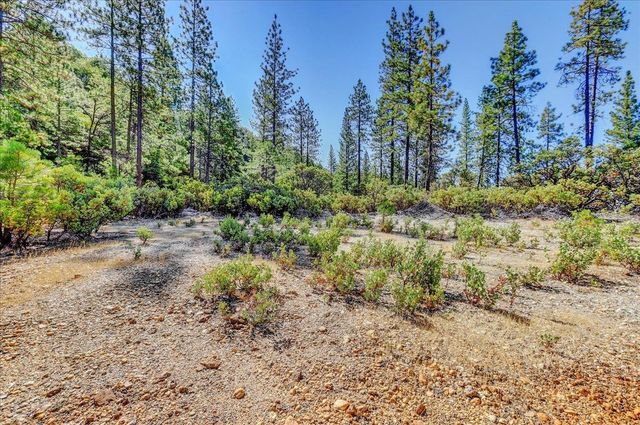 18955 Lake City Rd, Nevada City, CA 95959