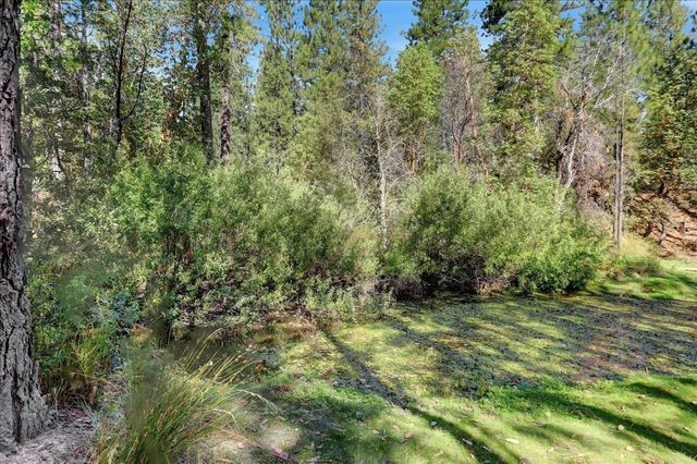 18955 Lake City Rd, Nevada City, CA 95959
