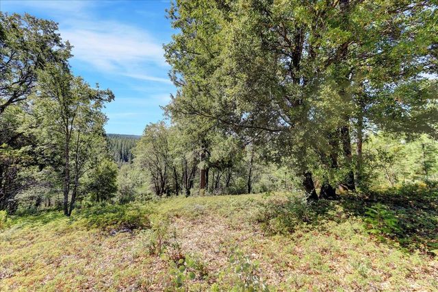 18955 Lake City Rd, Nevada City, CA 95959