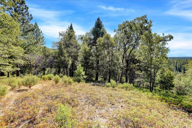 18955 Lake City Rd, Nevada City, CA 95959