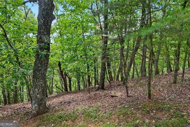 3108 Falcon Heights, Big Canoe, GA 30143