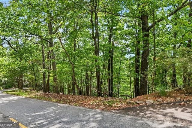 3108 Falcon Heights, Big Canoe, GA 30143