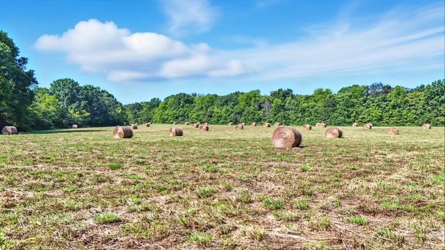 790 Squire Hall Rd, Bell Buckle, TN 37020