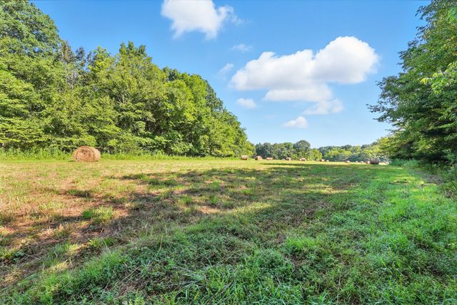 790 Squire Hall Rd, Bell Buckle, TN 37020