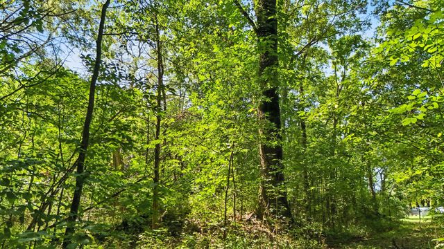 790 Squire Hall Rd, Bell Buckle, TN 37020