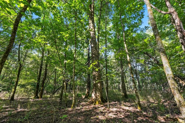 790 Squire Hall Rd, Bell Buckle, TN 37020