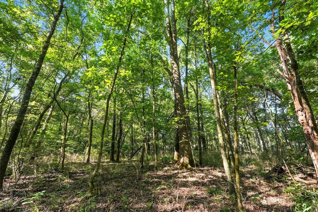 790 Squire Hall Rd, Bell Buckle, TN 37020