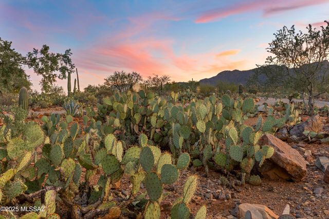 6539 W El Camino Del Cerro, Tucson, AZ 85745