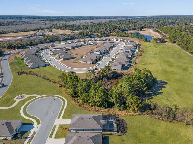 3600 BURROWING OWL DRIVE, Mims, FL 32754