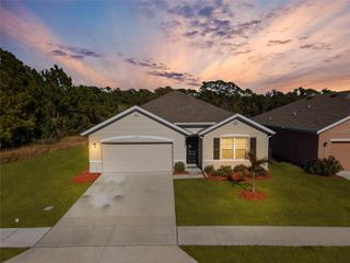 3600 BURROWING OWL DRIVE, Mims, FL 32754