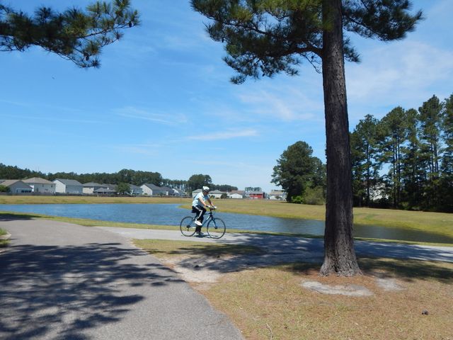 295 Shadybrook Dr. Drive, Summerville, SC 29486