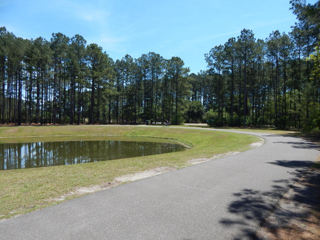 295 Shadybrook Dr. Drive, Summerville, SC 29486