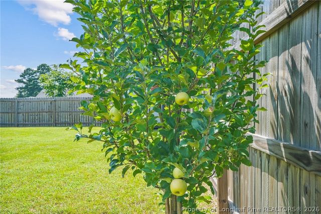 3104 Pasile Court, Sanford, NC 27332