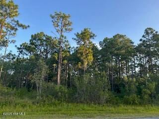 L365 & 366 Drayton Road, Boiling Spring Lakes, NC 28461