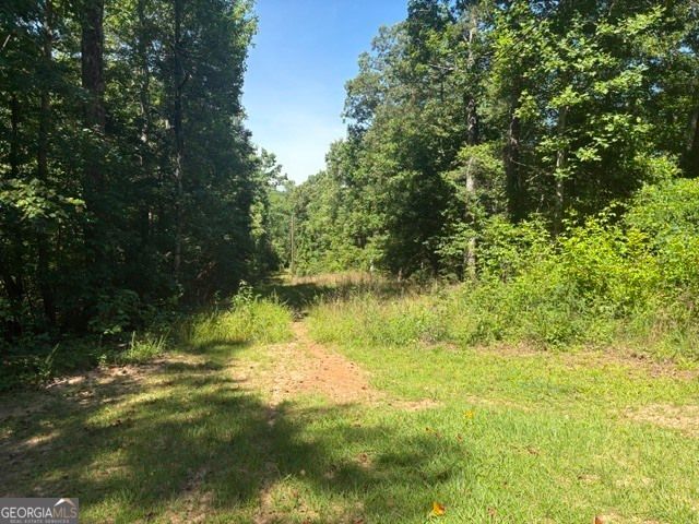 110 Patty Cake Lane, Clarkesville, GA 30523