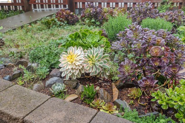 18 North Cir, Oakland, CA 94611