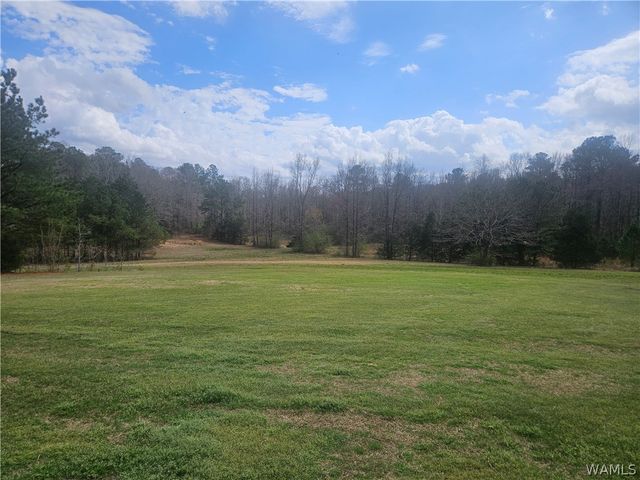 70 Field Spring Rd, Reform, AL 35481