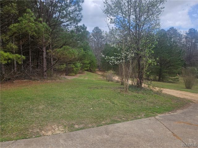 70 Field Spring Rd, Reform, AL 35481
