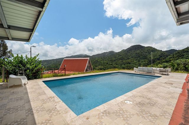 PR-186 BARRIO GUZMAN ARRIBA MOUNTAINS, Rio Grande, PR 00745