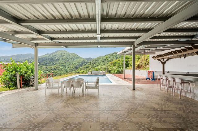 PR-186 BARRIO GUZMAN ARRIBA MOUNTAINS, Rio Grande, PR 00745