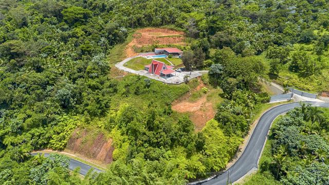 PR-186 BARRIO GUZMAN ARRIBA MOUNTAINS, Rio Grande, PR 00745