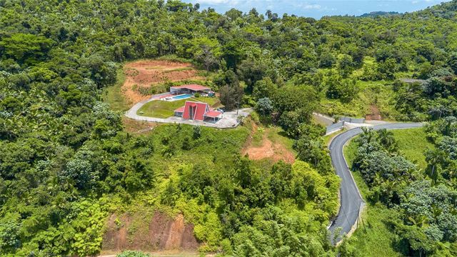 PR-186 BARRIO GUZMAN ARRIBA MOUNTAINS, Rio Grande, PR 00745