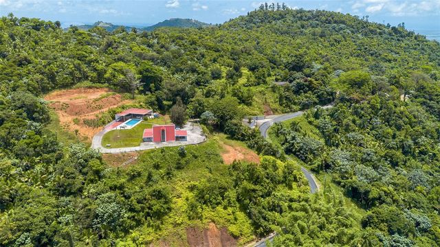 PR-186 BARRIO GUZMAN ARRIBA MOUNTAINS, Rio Grande, PR 00745