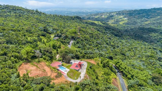 PR-186 BARRIO GUZMAN ARRIBA MOUNTAINS, Rio Grande, PR 00745