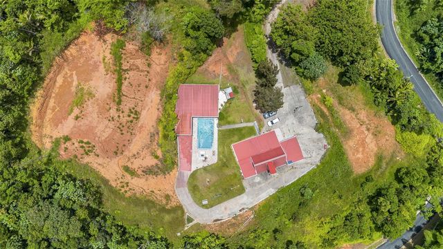 PR-186 BARRIO GUZMAN ARRIBA MOUNTAINS, Rio Grande, PR 00745