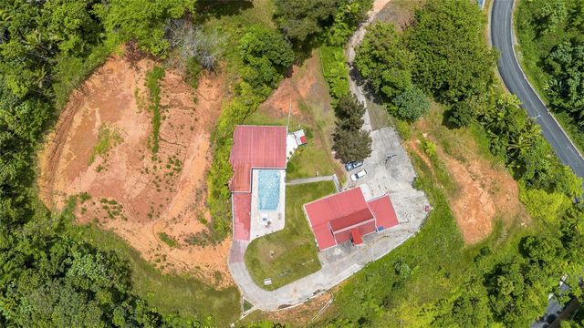 PR-186 BARRIO GUZMAN ARRIBA MOUNTAINS, Rio Grande, PR 00745