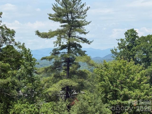 44 Leisure Mountain Road, Asheville, NC 28804