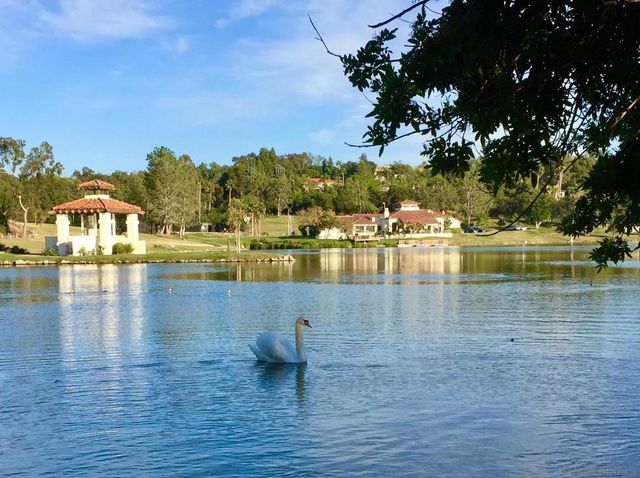 16429 Avenida de los Olivos, Rancho Santa Fe, CA 92067