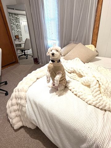 75 Lincoln St 75, Waltham, MA 02451