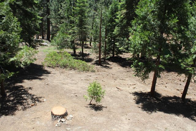 57910 Peppermint Drive, Ponderosa, CA 93265