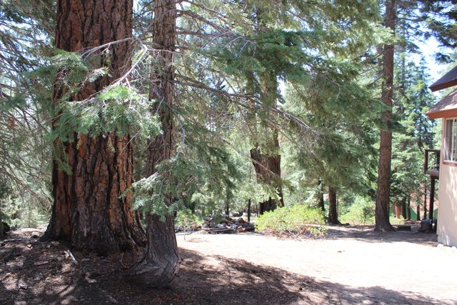 57910 Peppermint Drive, Ponderosa, CA 93265