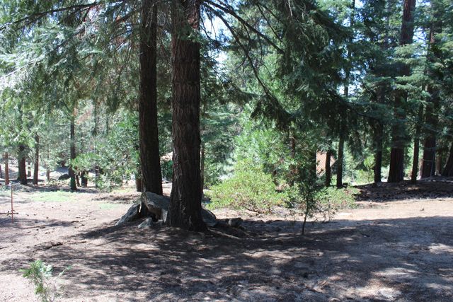 57910 Peppermint Drive, Ponderosa, CA 93265