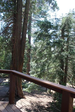 57910 Peppermint Drive, Ponderosa, CA 93265