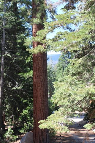 57910 Peppermint Drive, Ponderosa, CA 93265