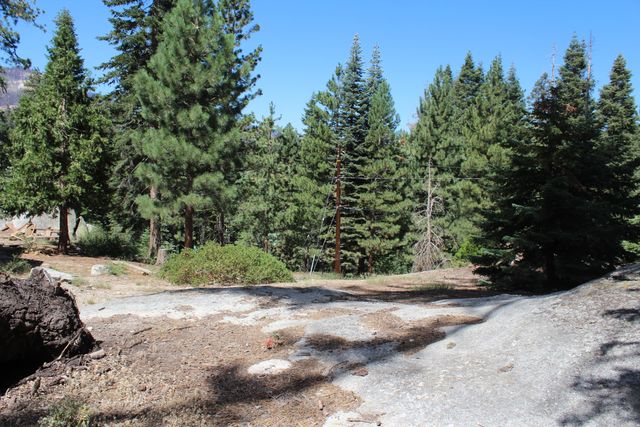 57910 Peppermint Drive, Ponderosa, CA 93265