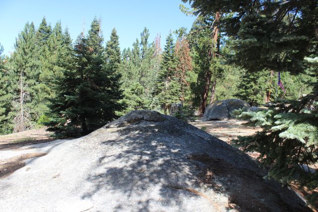 57910 Peppermint Drive, Ponderosa, CA 93265