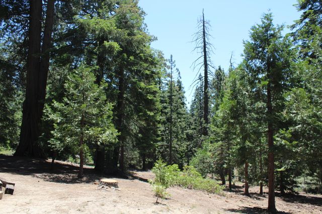 57910 Peppermint Drive, Ponderosa, CA 93265