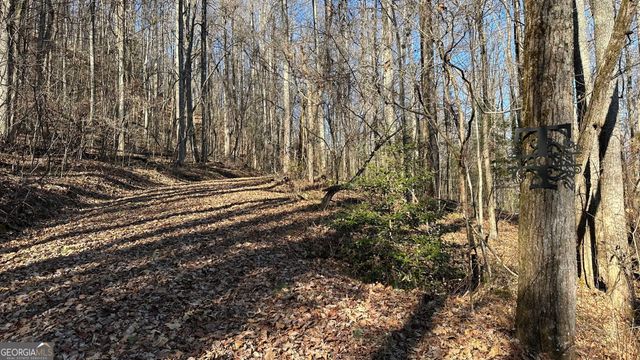 710 Northridge Drive, Tiger, GA 30576