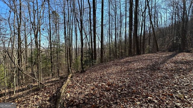 710 Northridge Drive, Tiger, GA 30576